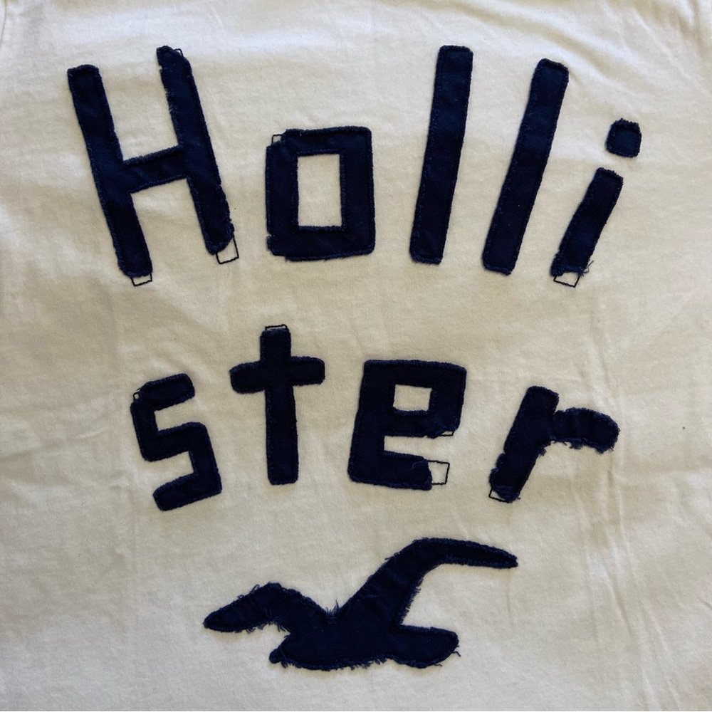 Hollister bird patch-stitch letter short sleeve size L vintage - Picture 2 of 10